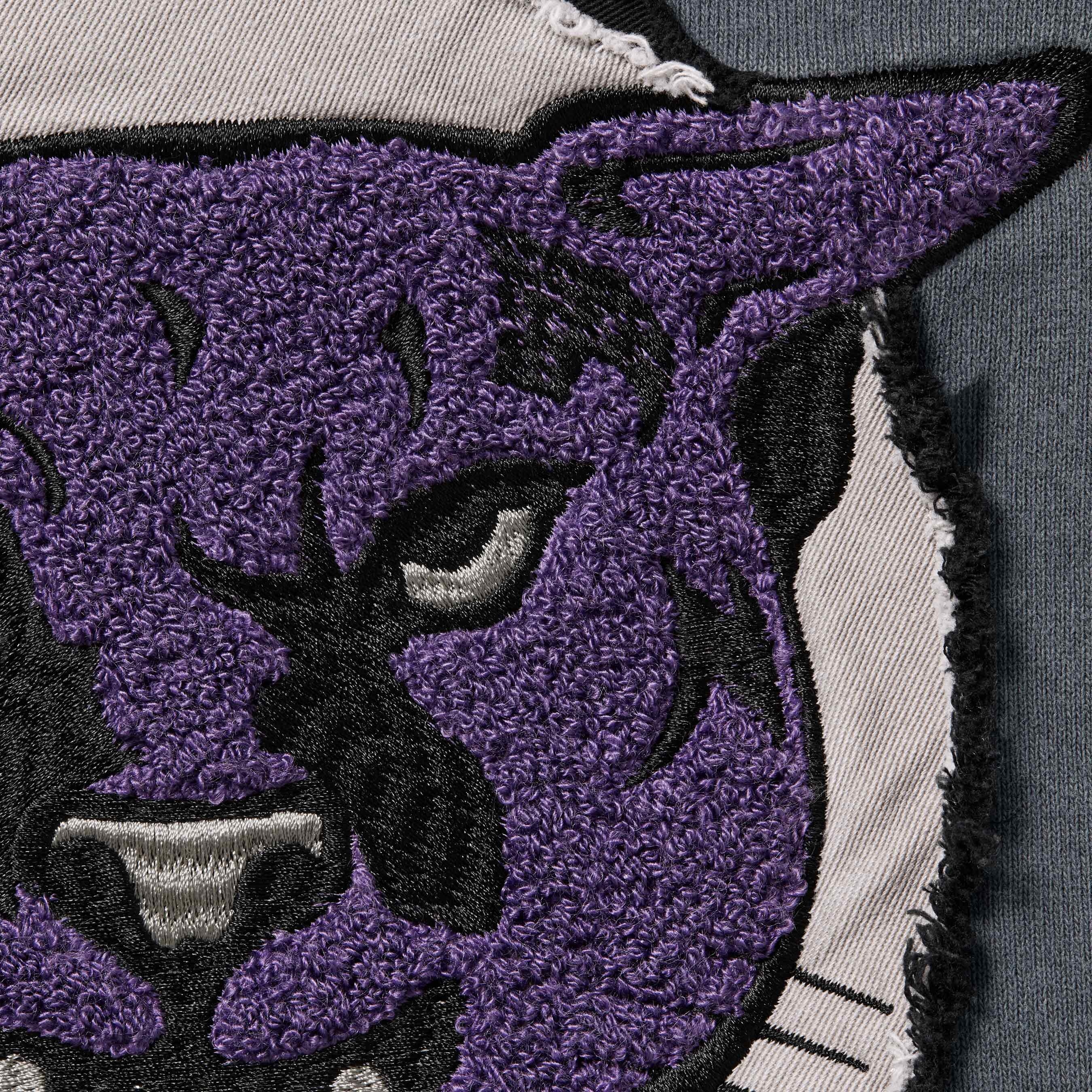 Washed Panther Hooded Sweatshirt view 2